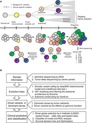 Intratumor Heterogeneity of MYO18A and FBXW7 Variants Impact the Clinical Outcome of Stage III Colorectal Cancer